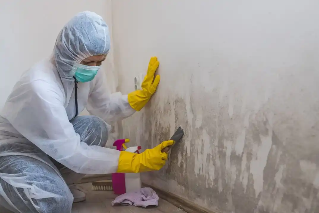 water damage restoration service Clements Ranch